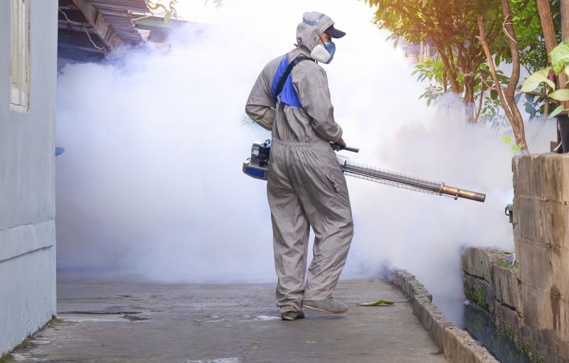 Mosquito Control Service in New Braunfels, TX