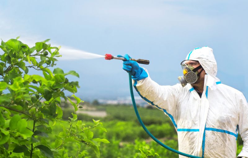 Roach Fumigation in Katy, TX