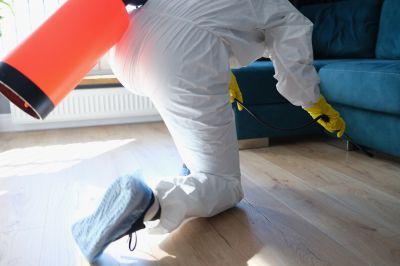 Roach Fumigation in Winston Salem, NC