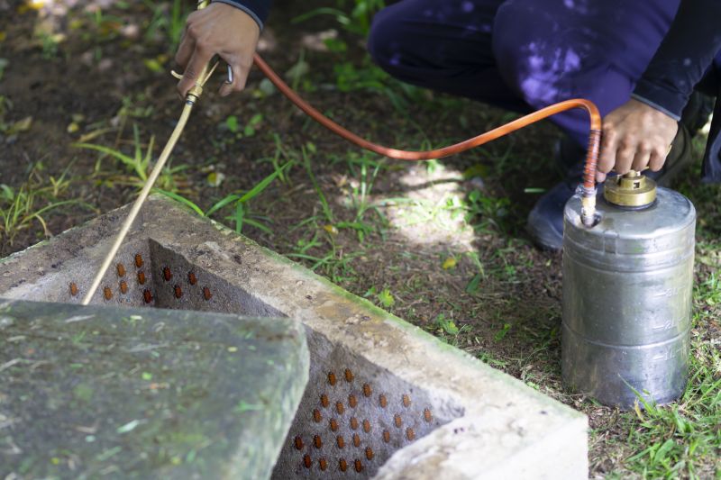 Roach Fumigation in Bellingham, WA