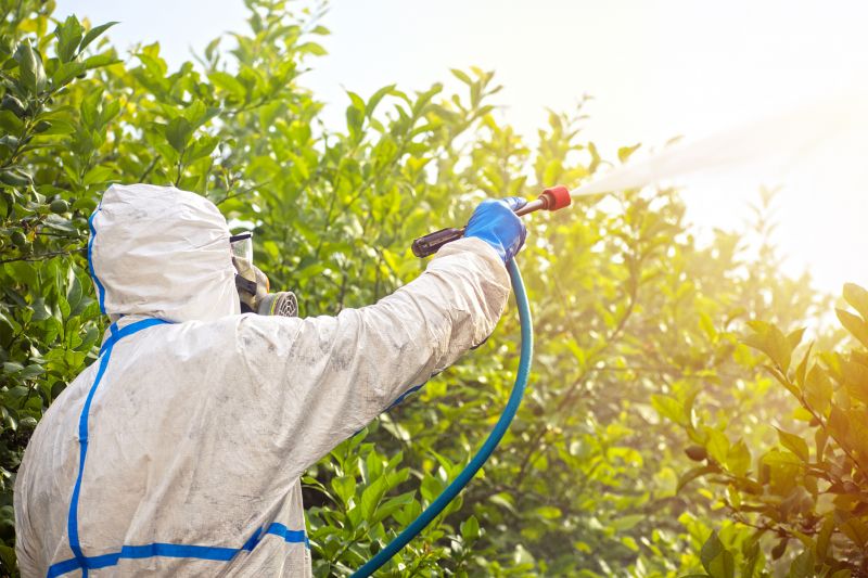 Spider Fumigation Service in Long Island, NY