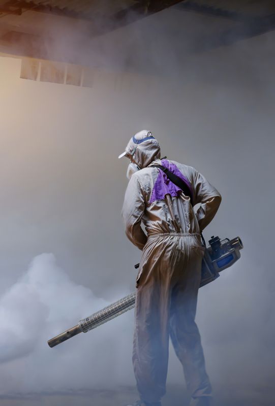 Spider Fumigation Service in Davis County, UT