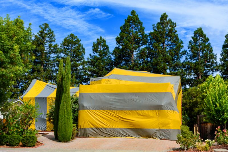 Termite Tenting in Winston Salem, NC