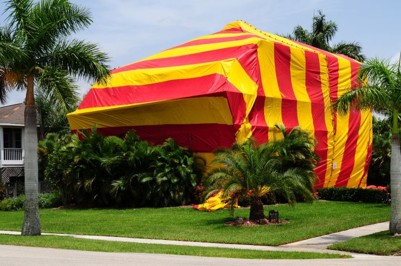 Termite Tenting in Naperville, IL